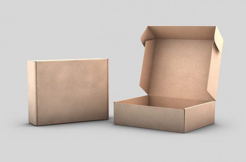 Lijkenhuis snor Afbreken 5x wat te doen met een lege kartonnen doos – CVA-Vereniging